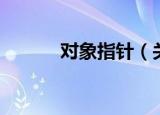 对象指针（关于对象指针介绍）