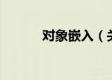 对象嵌入（关于对象嵌入介绍）