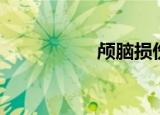 颅脑损伤（颅脑损伤）