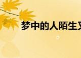 梦中的人陌生又熟悉（梦中的人儿）