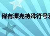 稀有漂亮特殊符号爱心（稀有漂亮特殊符号）