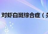 对虾白斑综合症（关于对虾白斑综合症介绍）