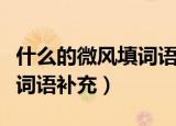 什么的微风填词语二年级下册（什么的微风填词语补充）