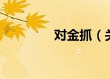 对金抓（关于对金抓介绍）