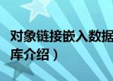 对象链接嵌入数据库（关于对象链接嵌入数据库介绍）
