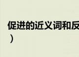 促进的近义词和反义词是什么（促进的近义词）