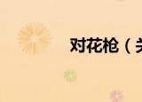 对花枪（关于对花枪介绍）