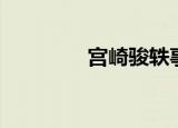 宫崎骏轶事（宫崎骏轶事）