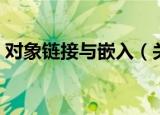 对象链接与嵌入（关于对象链接与嵌入介绍）