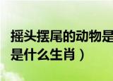 摇头摆尾的动物是什么属相（摇头摆尾的动物是什么生肖）
