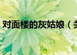 对面楼的灰姑娘（关于对面楼的灰姑娘介绍）