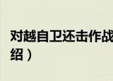 对越自卫还击作战（关于对越自卫还击作战介绍）