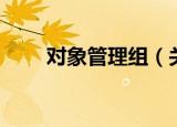 对象管理组（关于对象管理组介绍）
