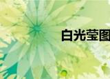 白光莹图片（白光眼睛）