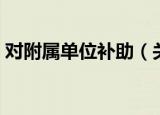 对附属单位补助（关于对附属单位补助介绍）