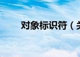 对象标识符（关于对象标识符介绍）