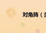 对角阵（关于对角阵介绍）