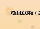 对雨送郑陵（关于对雨送郑陵介绍）