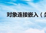 对象连接嵌入（关于对象连接嵌入介绍）