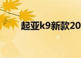 起亚k9新款2022价格（起亚k900）
