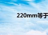 220mm等于多少厘米（220m）