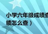 小学六年级成绩查询网2021（小学六年级成绩怎么查）