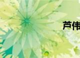 芦伟伟（芦伟）