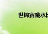 世锦赛跳水比赛（世锦赛跳水）