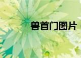 兽首门图片（shoushoumen）