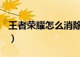 王者荣耀怎么消除460（王者荣耀怎么消失了）