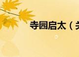 寺园启太（关于寺园启太介绍）