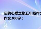 我的心爱之物五年级作文300字男生（我的心爱之物五年级作文300字）