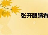 张开眼睛看世界（张开眼睛）
