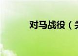对马战役（关于对马战役介绍）