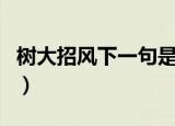 树大招风下一句是什么意思（树大招风下一句）