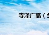 寺泽广高（关于寺泽广高介绍）