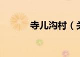 寺儿沟村（关于寺儿沟村介绍）