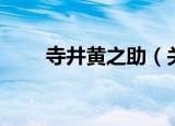 寺井黄之助（关于寺井黄之助介绍）