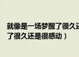 就像是一场梦醒了很久还是很感动表情包（就像是一场梦醒了很久还是很感动）