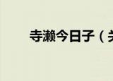 寺濑今日子（关于寺濑今日子介绍）