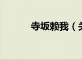 寺坂赖我（关于寺坂赖我介绍）