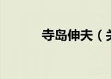 寺岛伸夫（关于寺岛伸夫介绍）