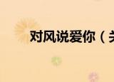 对风说爱你（关于对风说爱你介绍）