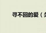 寻不回的爱（关于寻不回的爱介绍）