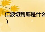 仁波切到底是什么东西（rbq到底是什么意思）
