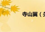 寺山翼（关于寺山翼介绍）