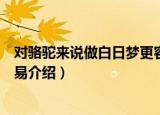 对骆驼来说做白日梦更容易（关于对骆驼来说做白日梦更容易介绍）