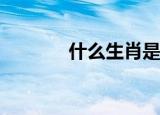 什么生肖是三心二意的帅哥？