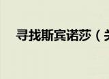 寻找斯宾诺莎（关于寻找斯宾诺莎介绍）