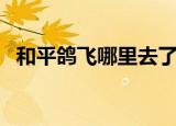 和平鸽飞哪里去了（和平鸽迷路飞到河南）